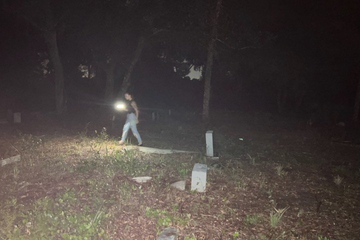 a fire hydrant in the grass