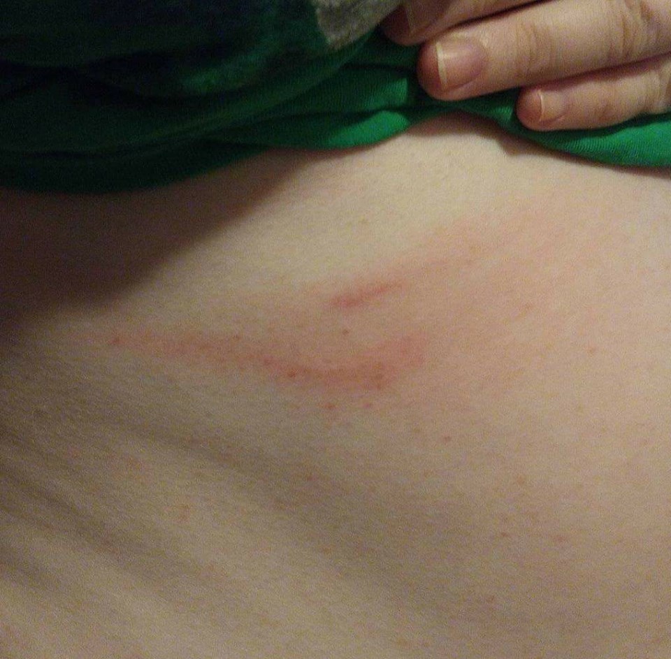 paraforcescratch paraforcescratch
