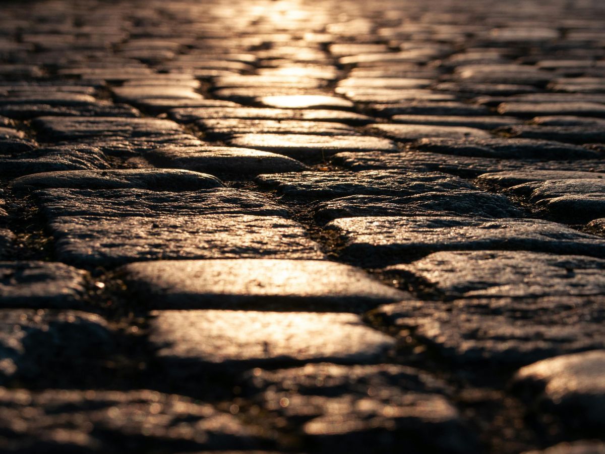 Close-up of cobblestone path with warm sunlight reflecting on the surface.