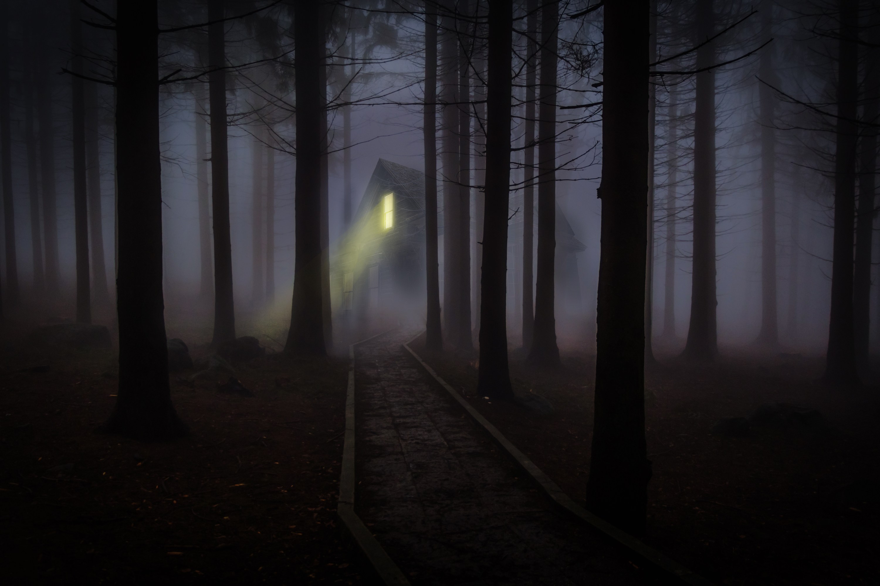 Foggy forest path leading to cabin with a glowing window in the dark.